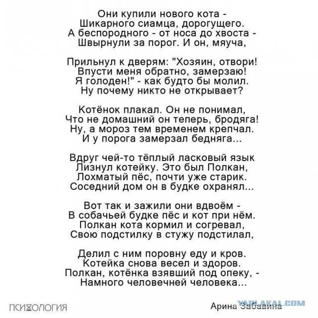 Байаны