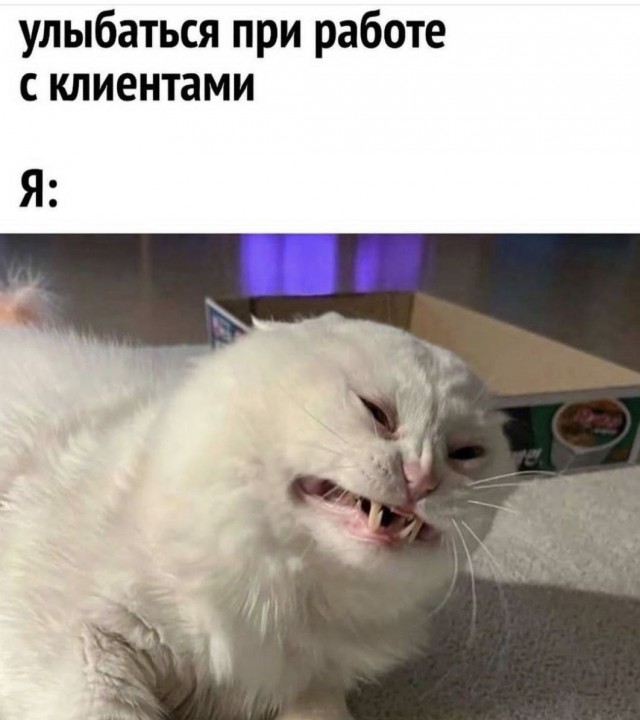 Старался без боянов