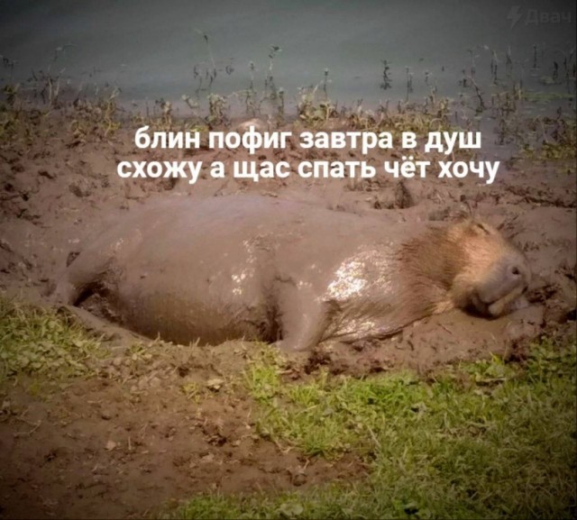 Подборка интересных душевых и туалетов