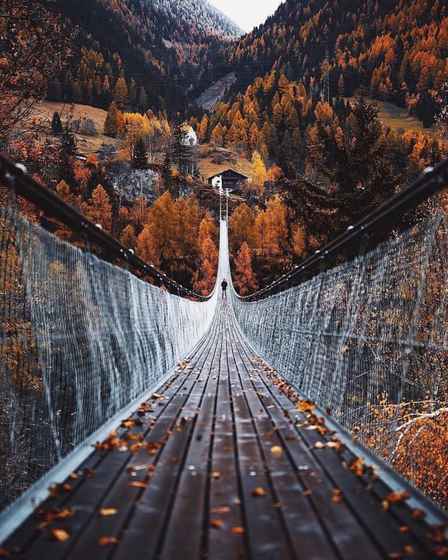 ФотоВинегрет