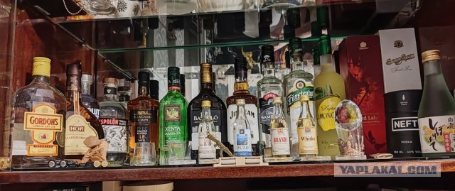 В зарубежных соцсетях завирусилось видео из российского магазина с полками водки