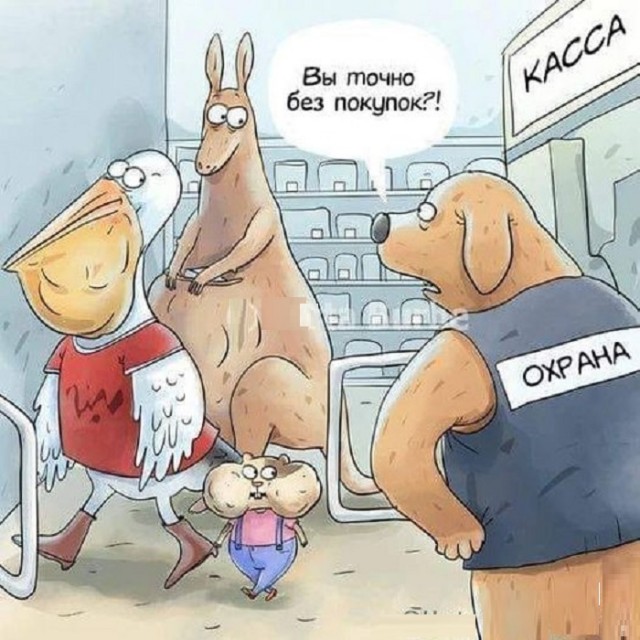 Картинки разные с надписями и без