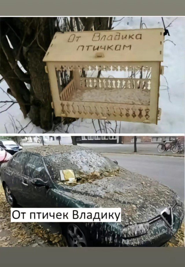 Завалялось тут случайно немного забавных картинок