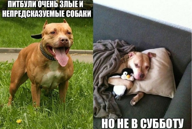 Так себе картинки 12.01.25