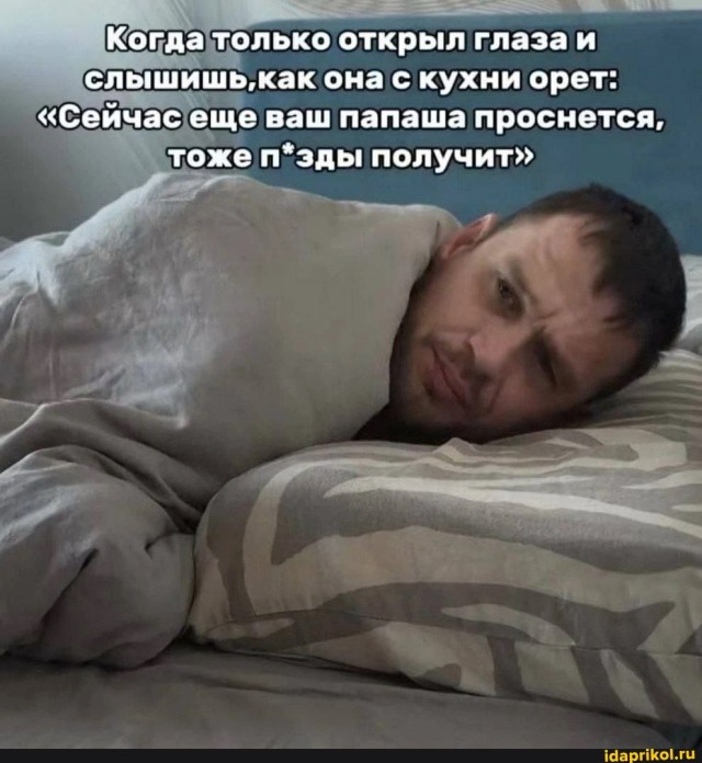 Нуштош 17.01.2025. Чем кажутся совы (s3e2)