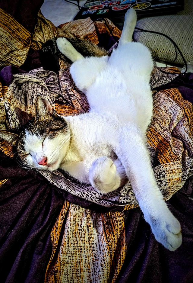 Спросил тут у ИИ про своего. и вопрос.)