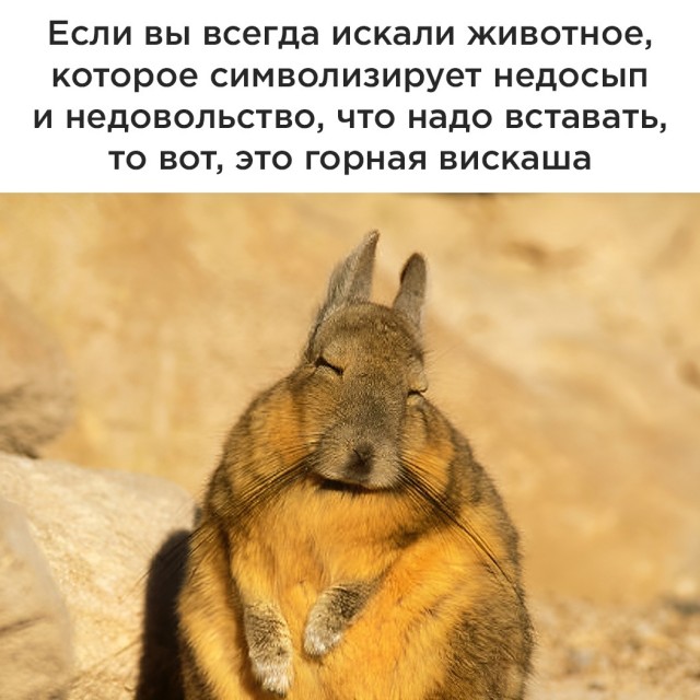Всячина