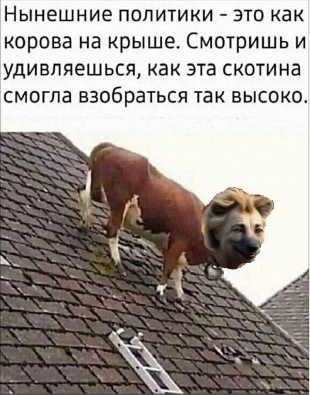 Картинки разные с надписями и без