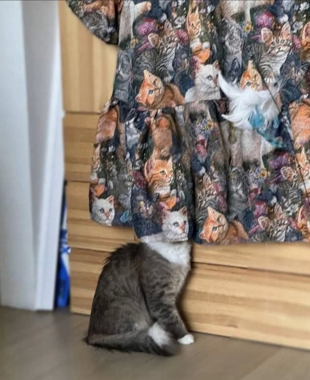 Маскировка