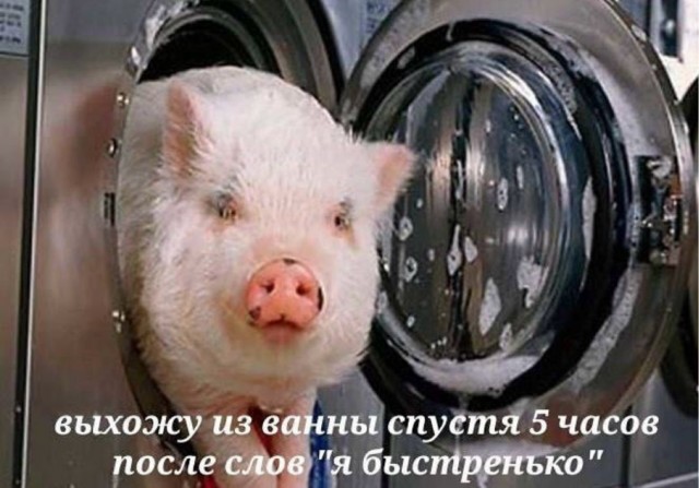 Веселое настроение в картинках (21.07.2025)
