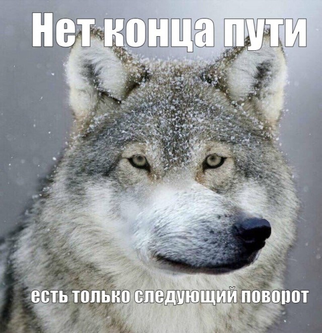 В Госдуме предложили разработать программу переноса данных из WhatsApp* и Telegram