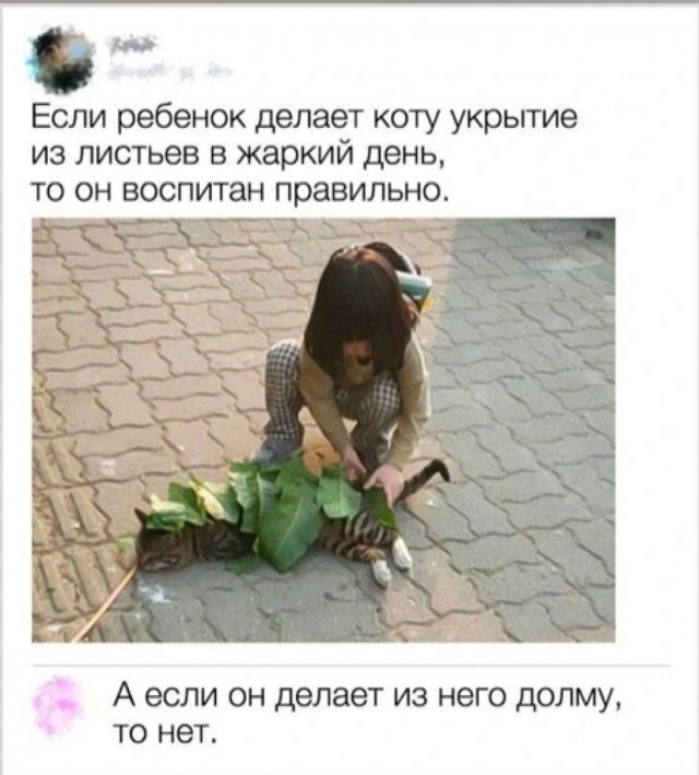 Напомню