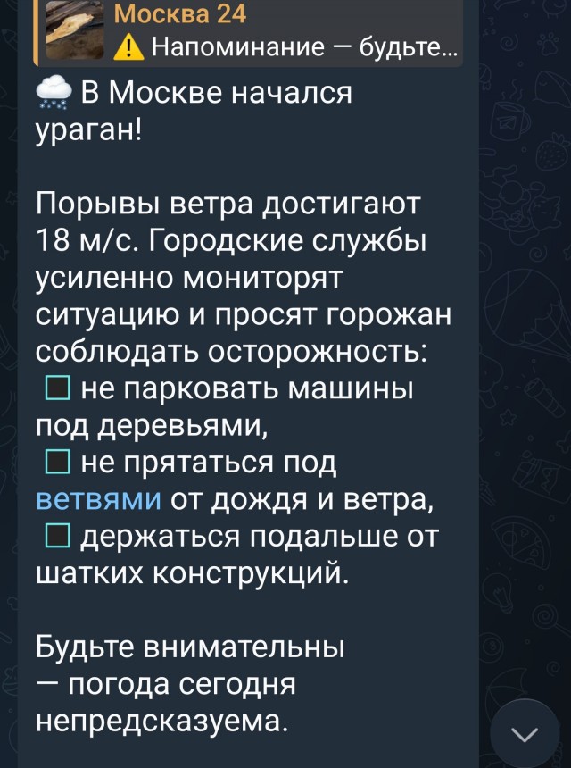 Их за мощного урагана на Тверском бульваре рухнула праздничная ёлка