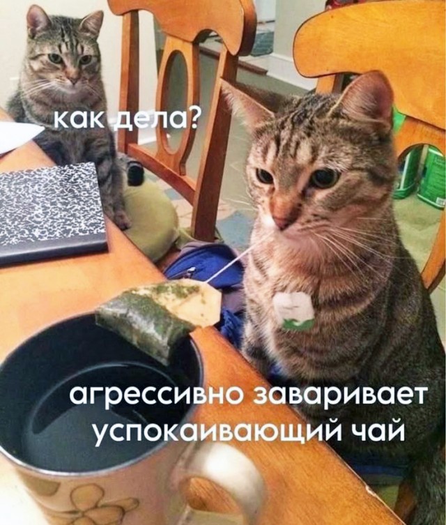 Немного картинок на ночь