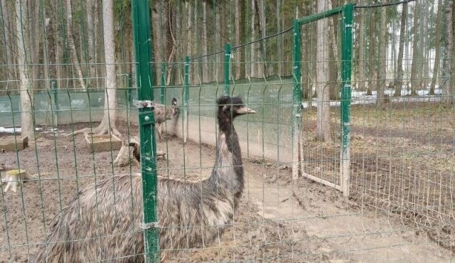 Посещение музея в Кубинке