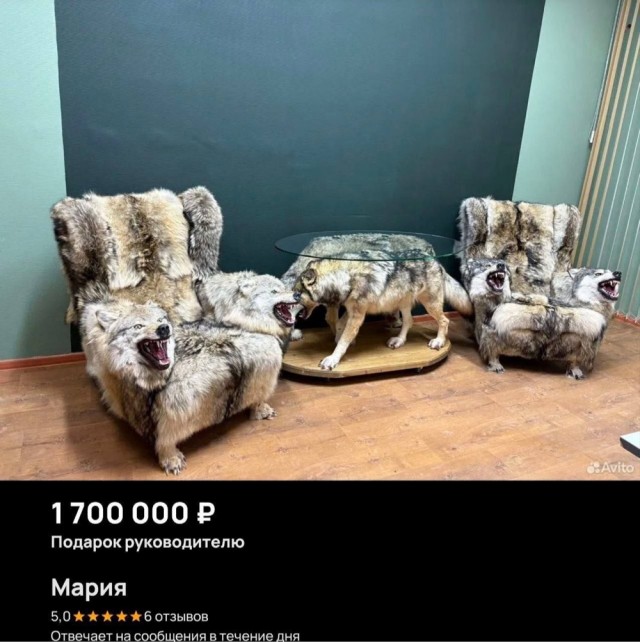 Среды картинки