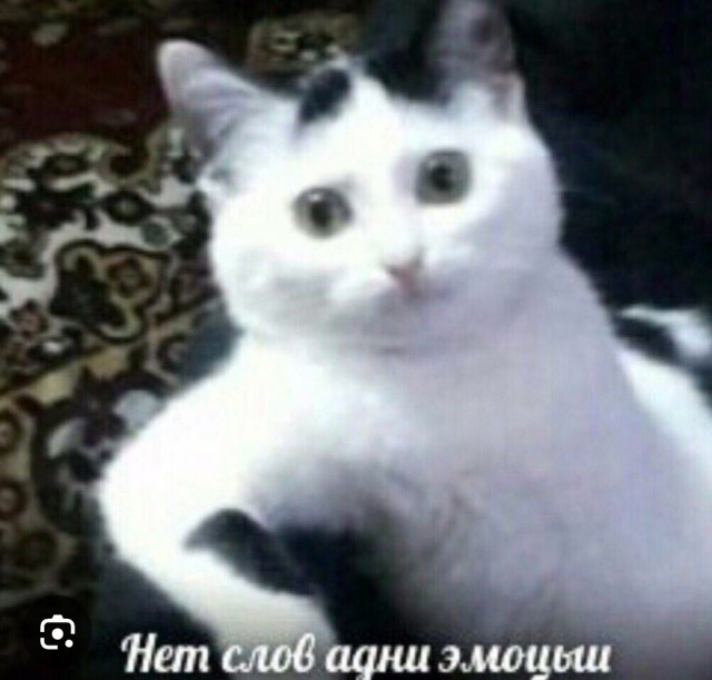 ! Важная информация по итогам про Yaplakal.com
