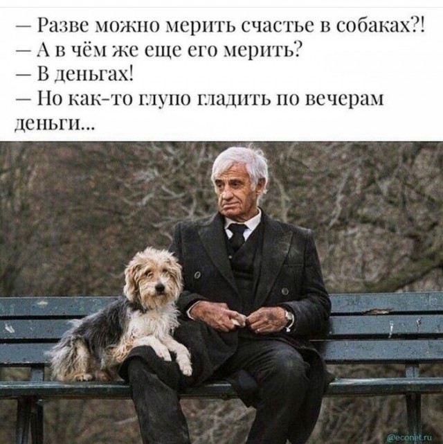 Картинки для деградации 251 (разной степени свежести)