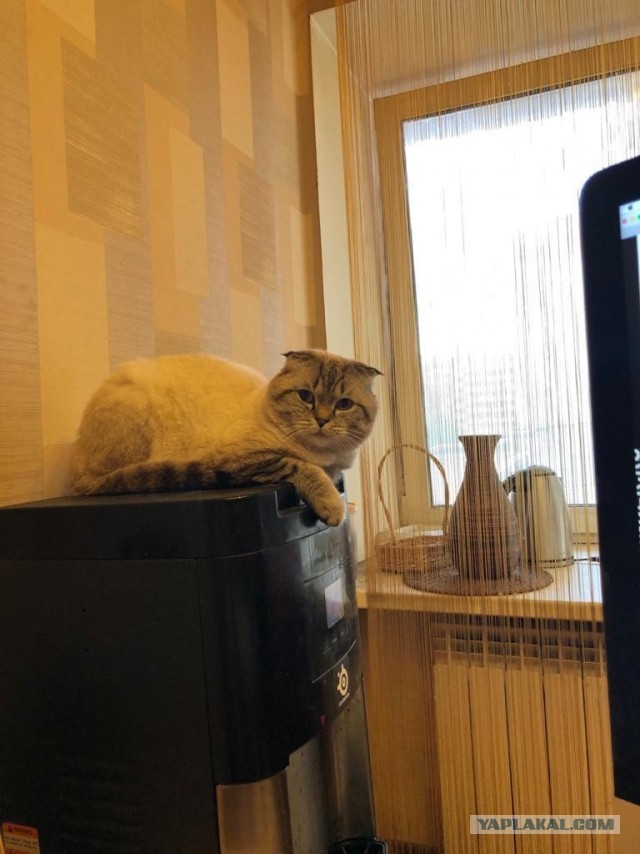 Пополнение