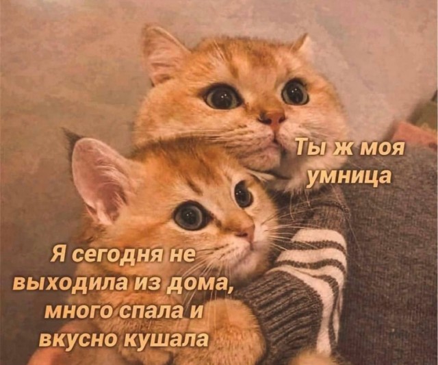 Знакомтесь, Марсель!