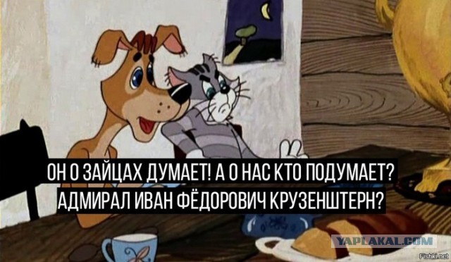 Парусному «Крузенштерну» исполнилось 100 лет. Почему на нём до сих пор учат будущих моряков