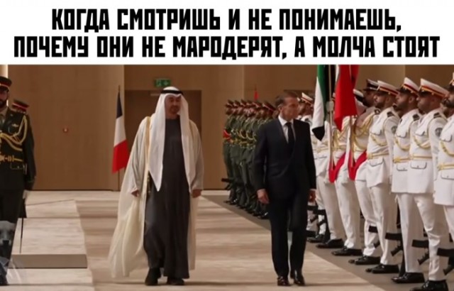 Картинки для деградации 303 (разной степени свежести)