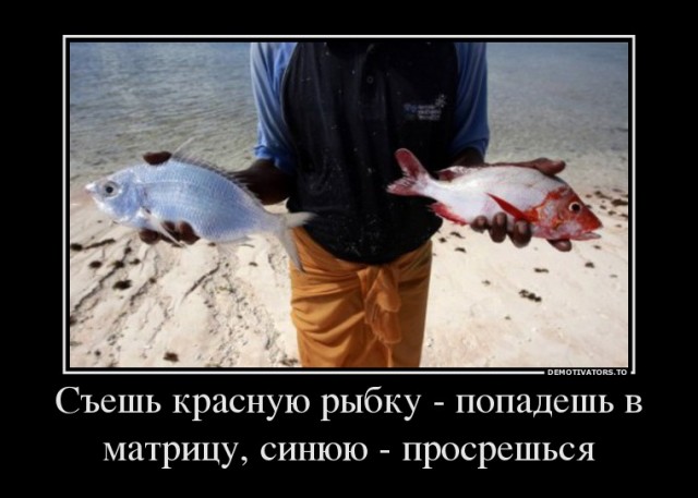 Государство, которое идет ко дну