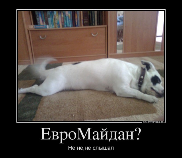 Беркут пошел на штурм