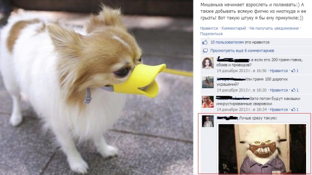 Смешные комментарии из социальных сетей