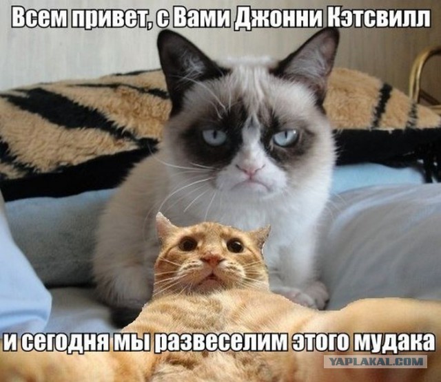 Не про олимпиаду