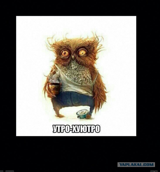День – ПЕРДень!