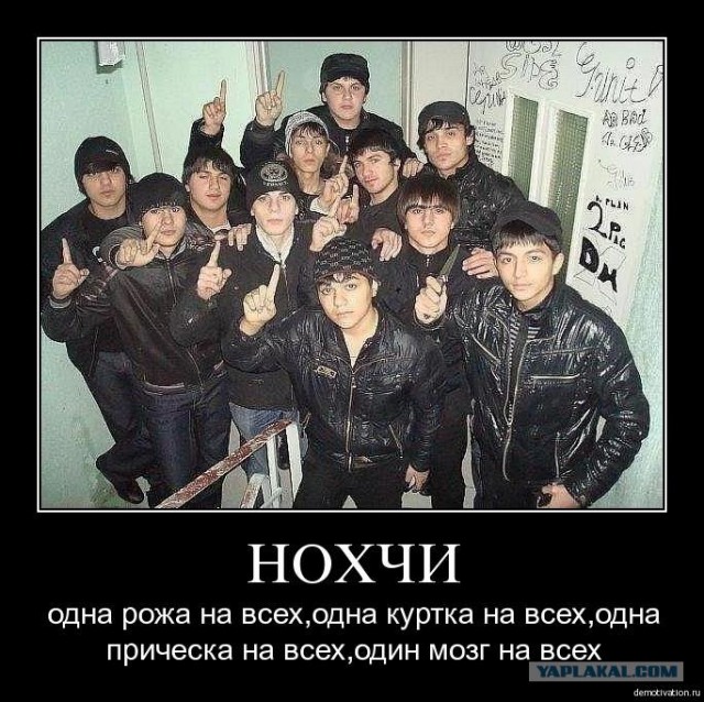 Битва мозгов.