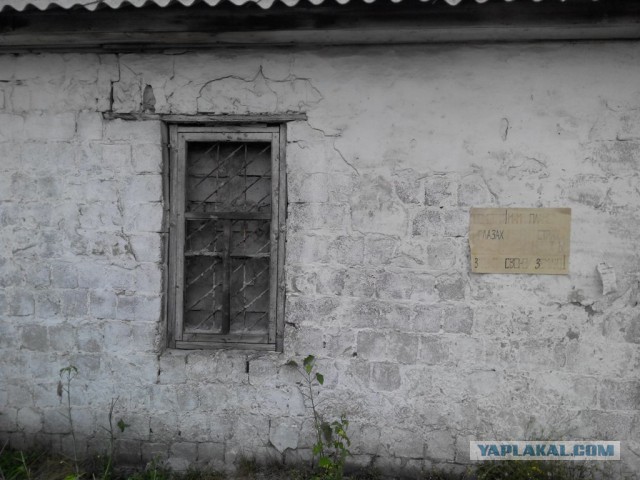 Последнее фото с Вашего телефона.