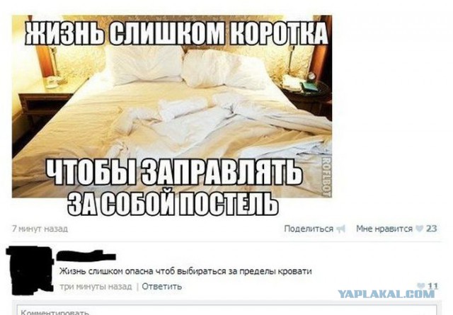 Коменты из СоцСети