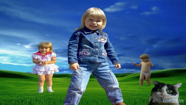 Отдых на обоях