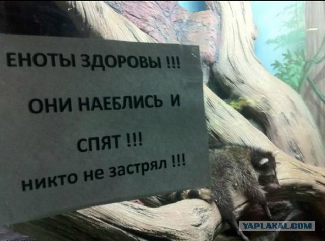 Молдавский зоопарк рекомендует…