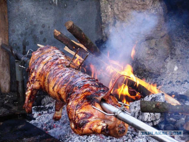 Свинина по сербски