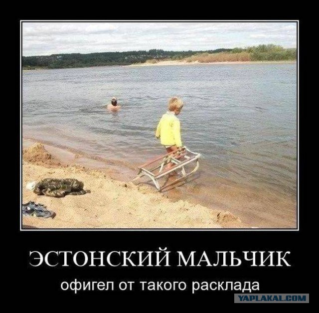 41 веселая картинка