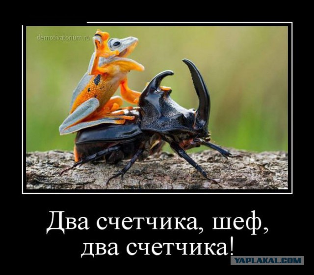 Подборка демотиваторов