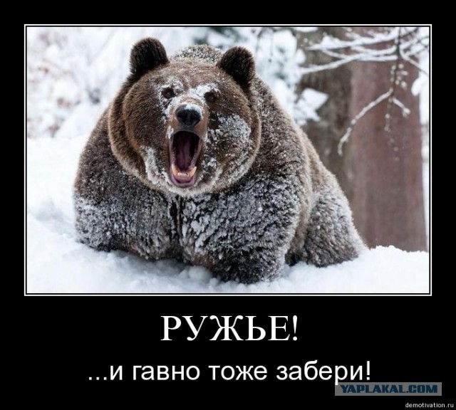 Встреча с медведем