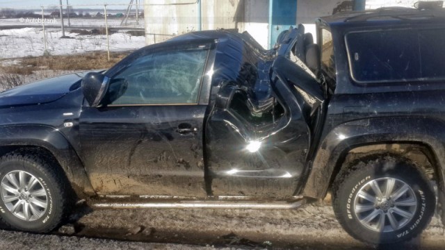 Намотать крышу на березу