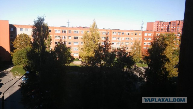 А что у вас за погода сейчас?