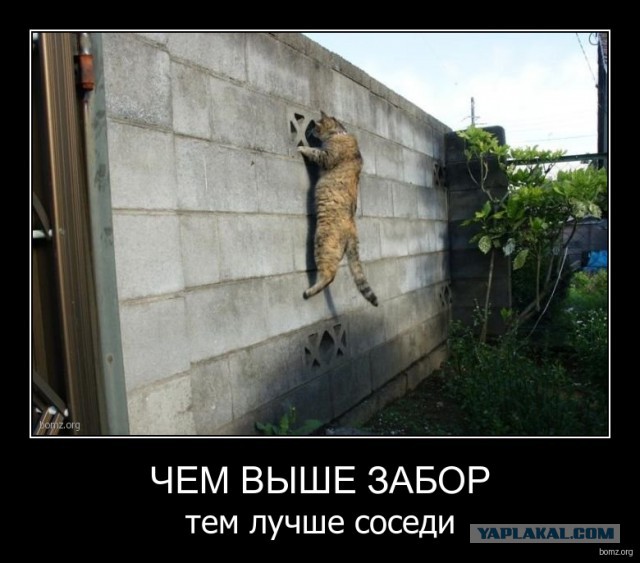 Бюджетная дача своими руками