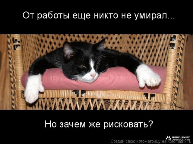 Опубликовано засекреченное видео захвата заложников в московском банке
