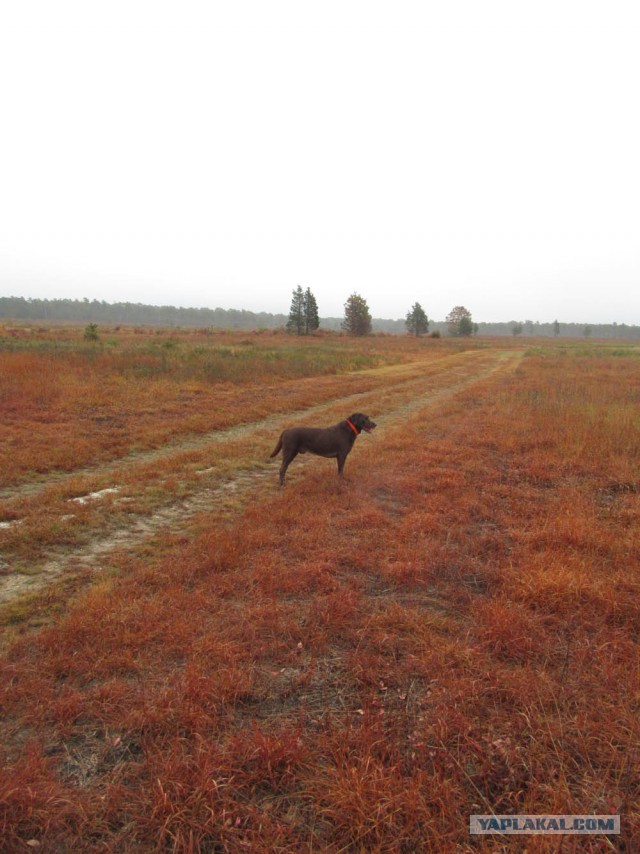 Деревенская Америка - 3