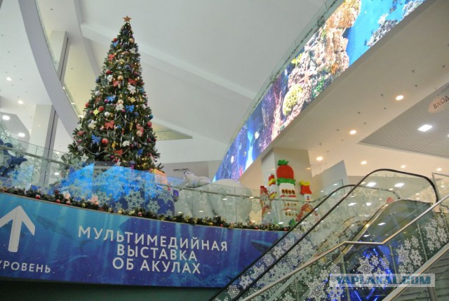 Приезжайте на НГ праздники в Москву, говорили они...