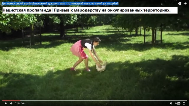 В новосибирском баре гостям включили марш СС