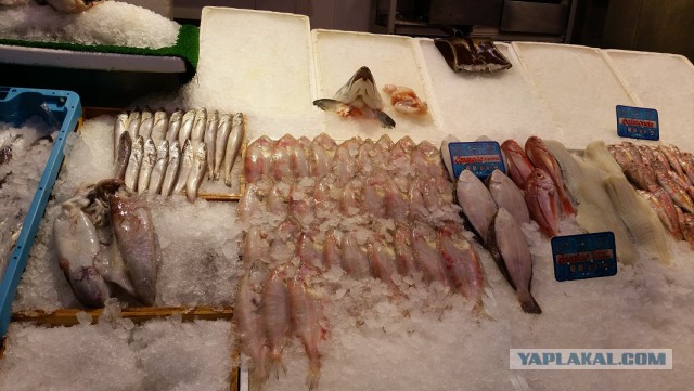 Настоящая Испания изнутри: на местный рынок за продуктами
