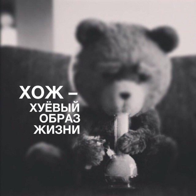 Деградации ЯПу