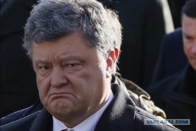 Голая задница в прямом эфире Евровидения